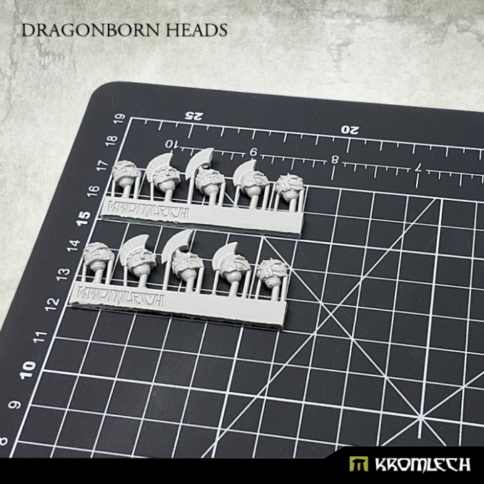 Dragonborn Heads