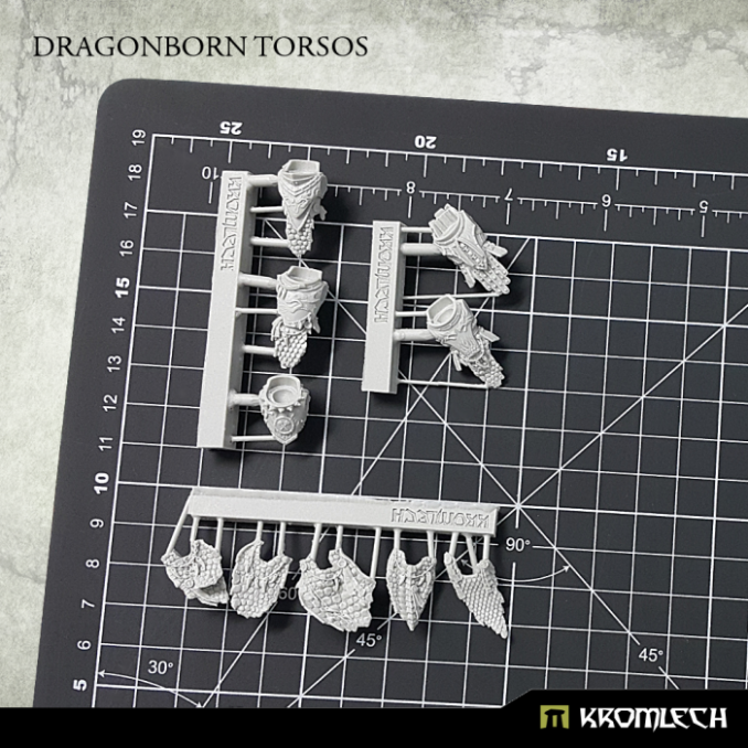 Dragonborn Torsos