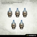 Legionary Veteran Heads: Destroyer...